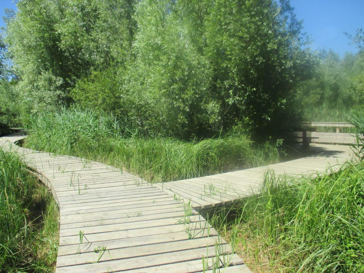 Couleurs Loire Panzió Molineuf Kültér fotó